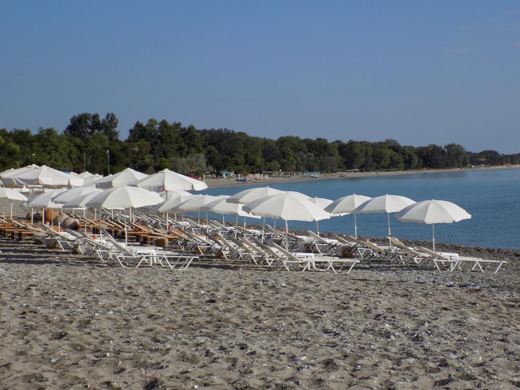 Apartament Alisachni Paralia Panteleimonos Zewnętrze zdjęcie