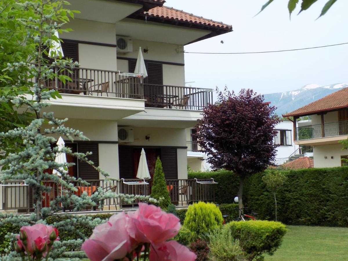 Apartament Alisachni Paralia Panteleimonos Zewnętrze zdjęcie